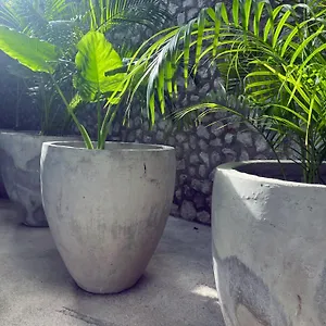 Bau Tulum Pueblo
